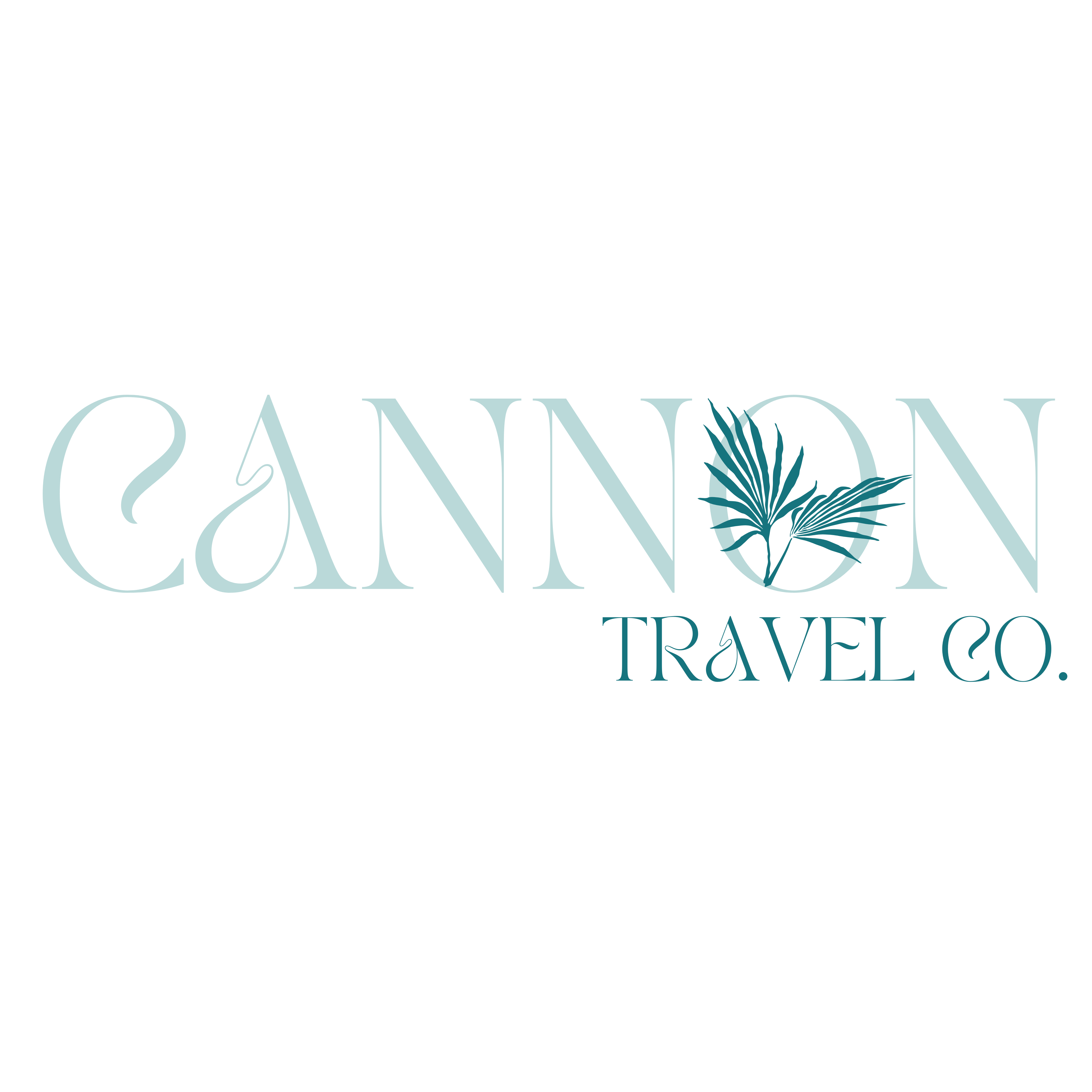 cannontravelco.com